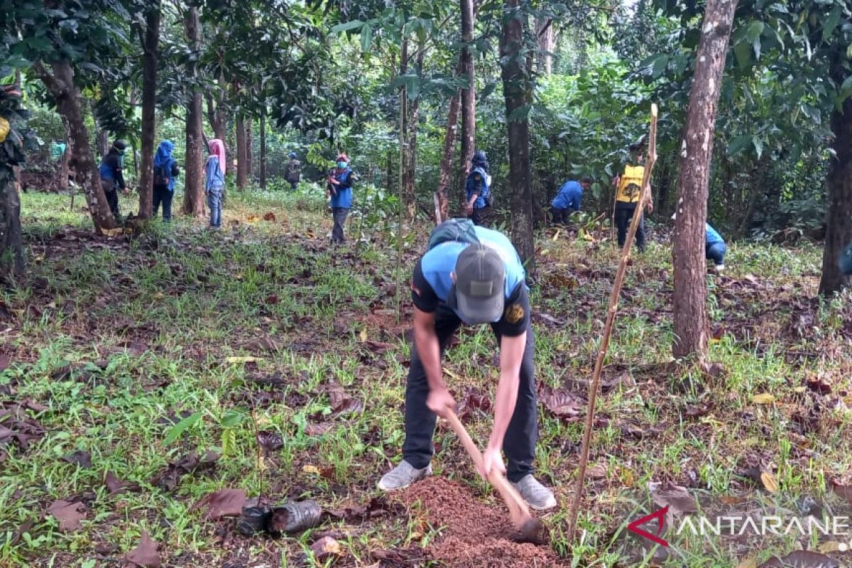 KPH motivasi masyarakat dan ASN tanam pohon