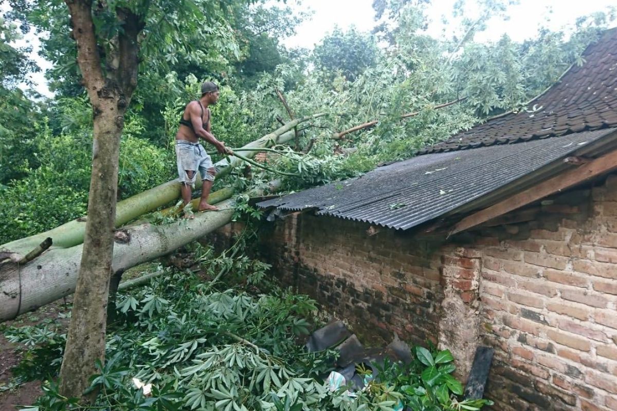 BPBD Kediri data rumah rusak diterjang angin kencang