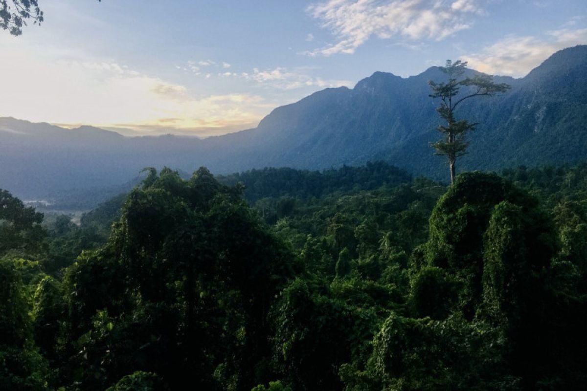 Kisah sang pelindung kakatua seram di Negeri Masihulan (Bagian 1)