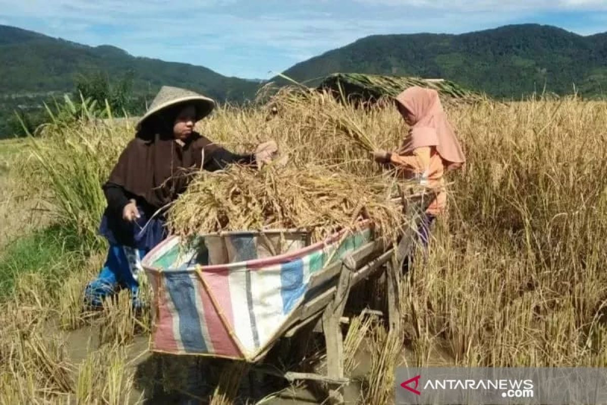 Dinas Pertanian Kota Solok harapkan pengurus Kopediperta lebih maju lagi