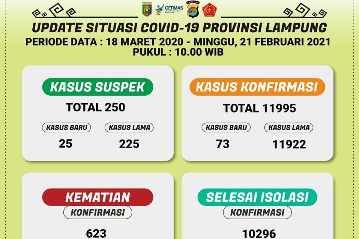 Kasus harian COVID-19 di Lampung tambah 73, total  jadi 11.995 kasus