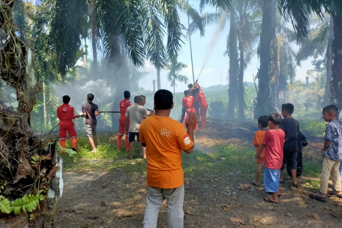 Lahan kelapa sawit terbakar, pemadaman terkendala gambut