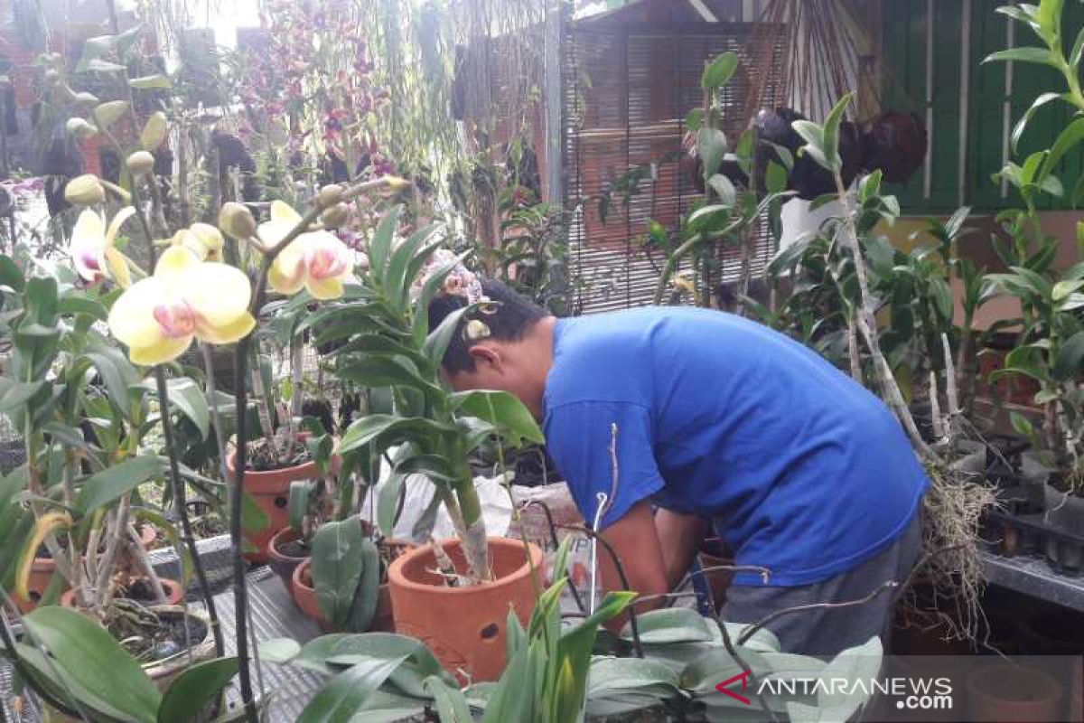 "Mustika Desa" upaya Temanggung percepat pemulihan ekonomi