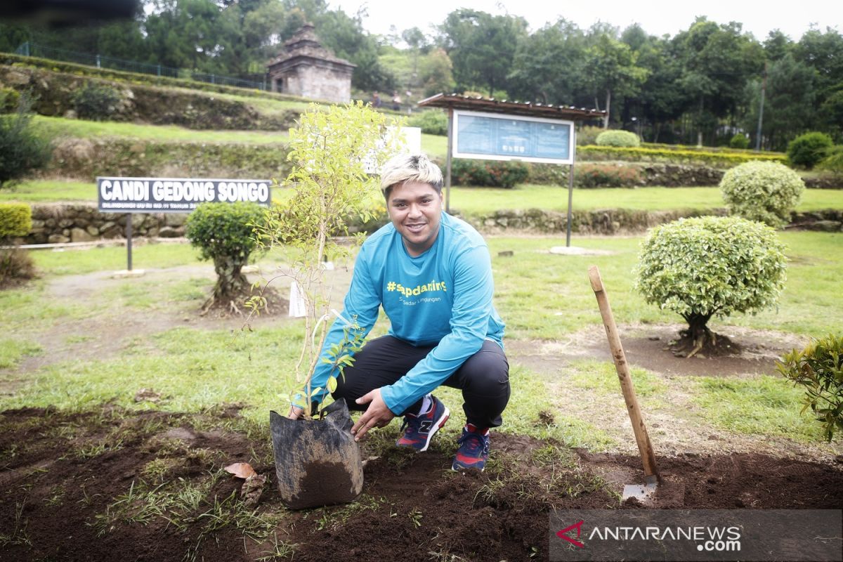 Gerakan menanam pohon berlanjut di tengah pandemi