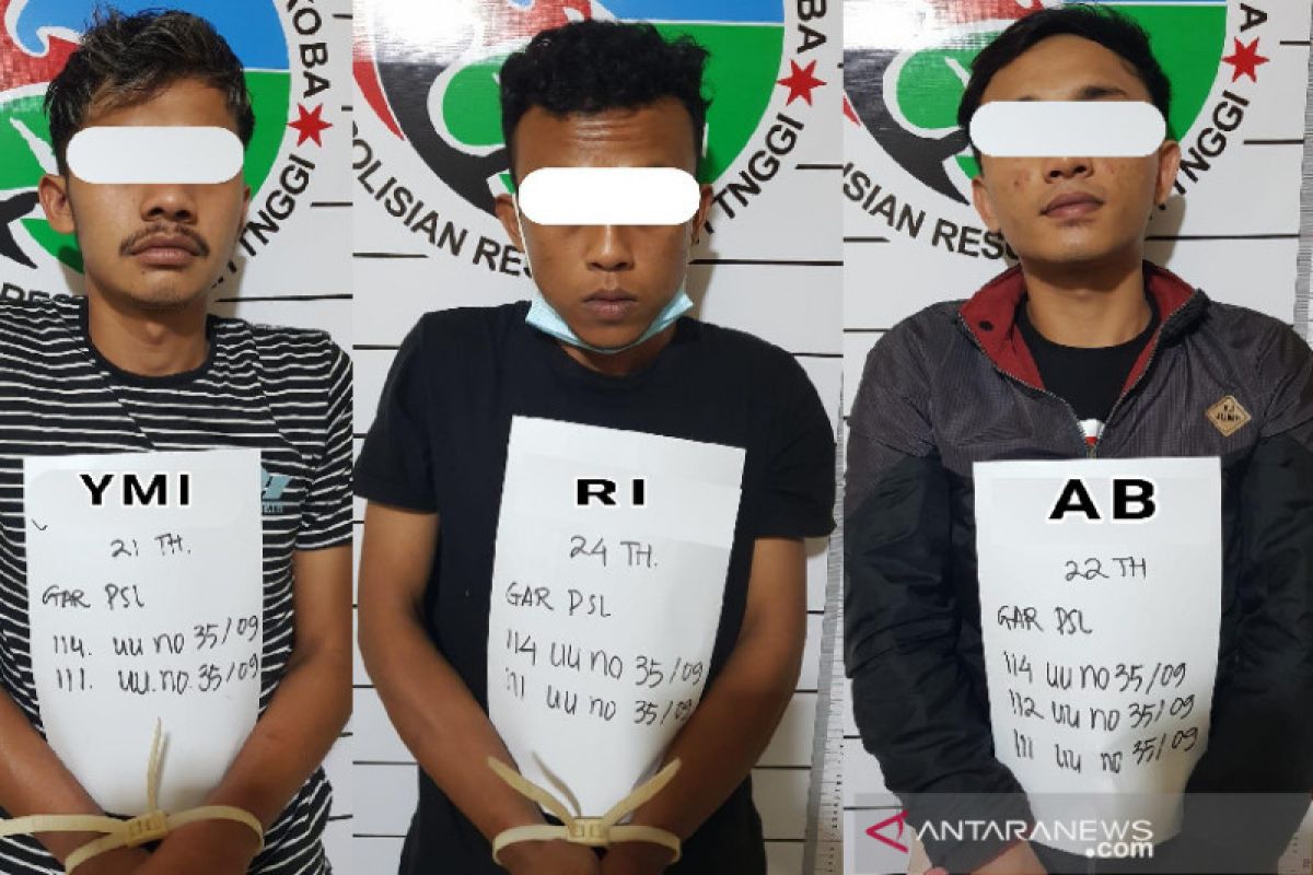 Polres Bukittinggi tangkap tiga remaja terduga pengedar narkotika saat menunggu pembeli