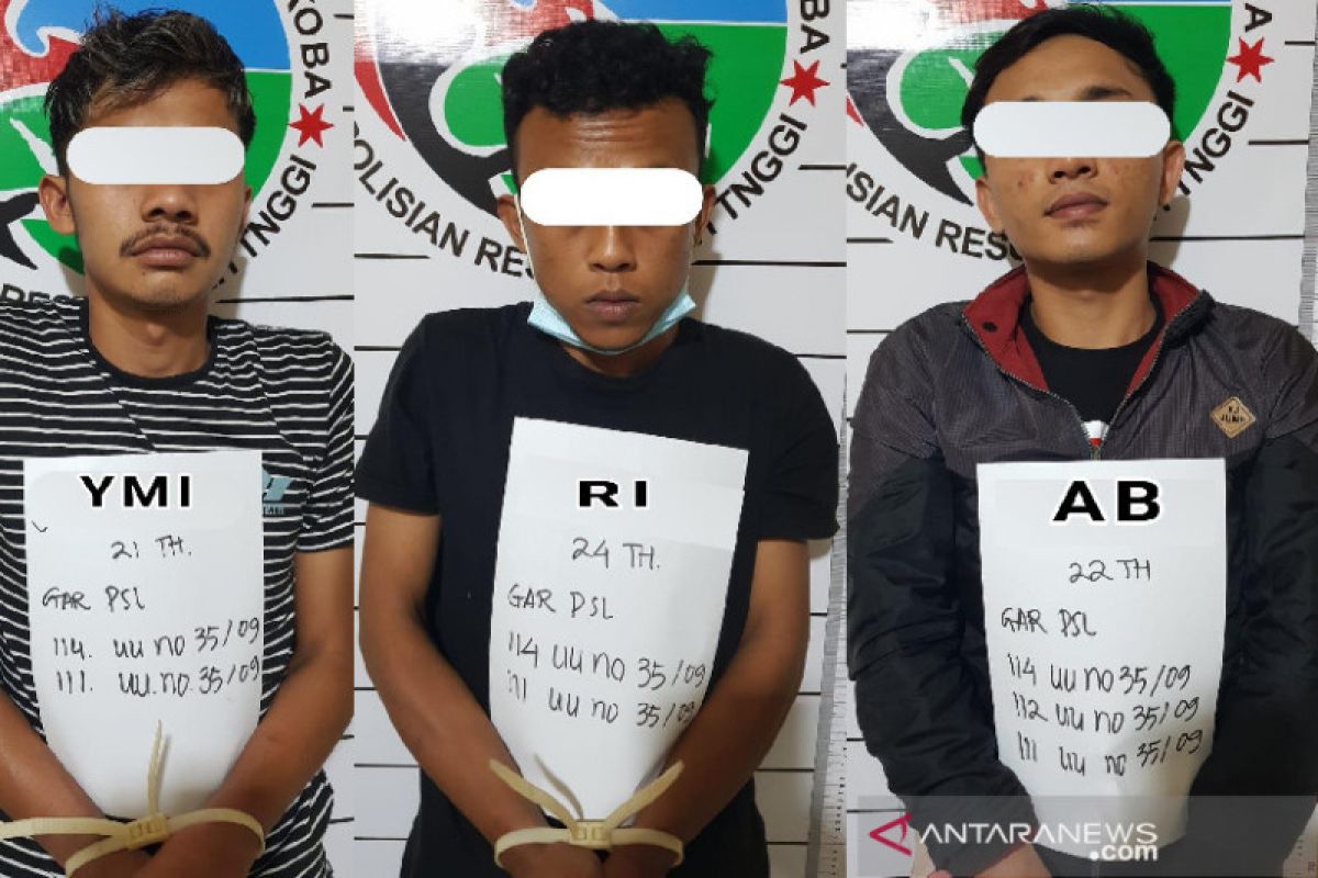 Polres Bukittinggi tangkap tiga remaja diduga terlibat kasus narkoba