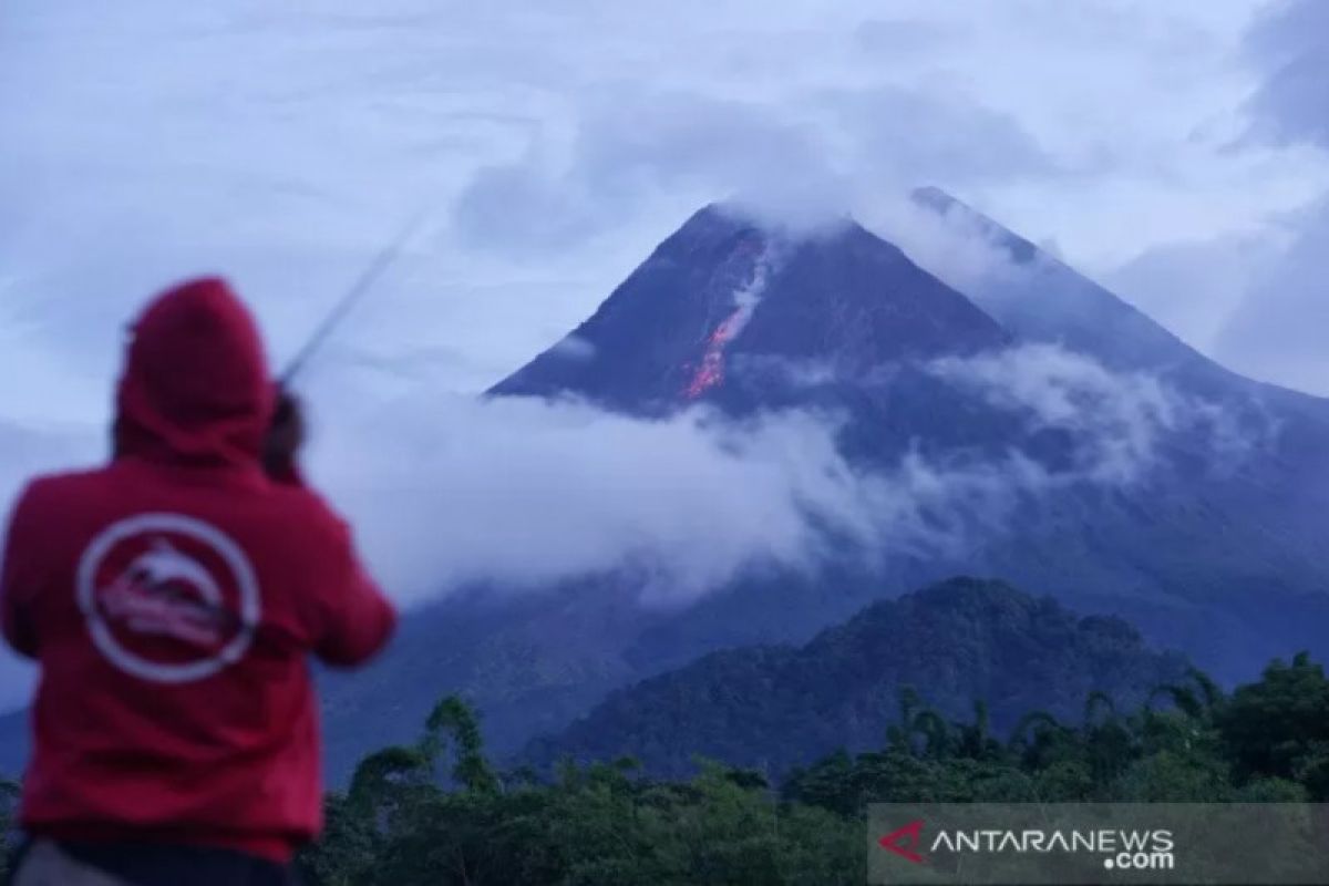 Gunung Merapi luncurkan guguran  lava pijar sejauh 800 meter