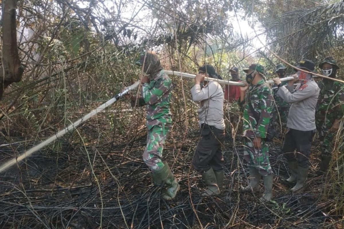 Waspada, Karhutla kembali melanda Bengkalis, sebagian ada di lahan perusahaan