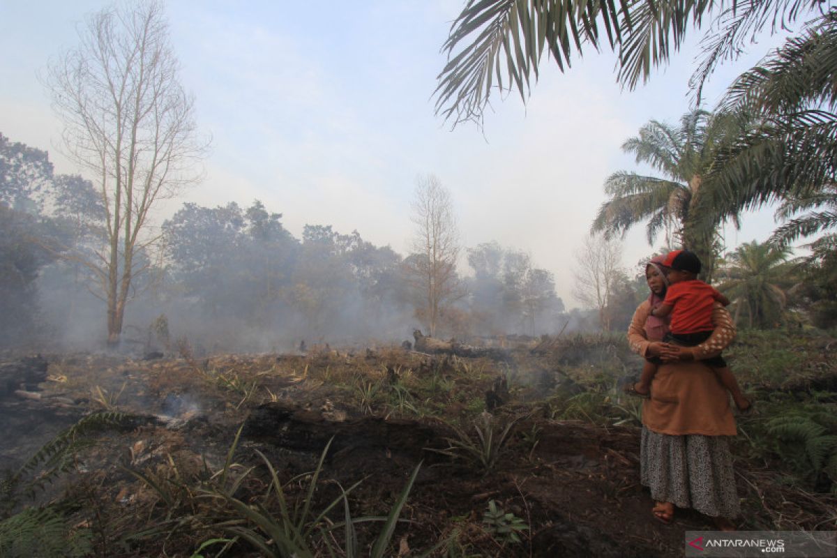 Petugas terus berupaya padamkan karhutla di Bengkalis