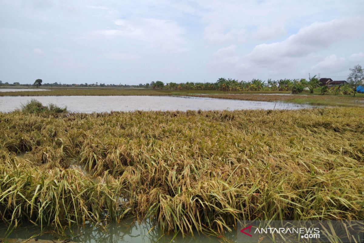 BMKG imbau waspadai potensi banjir di sejumlah daerah