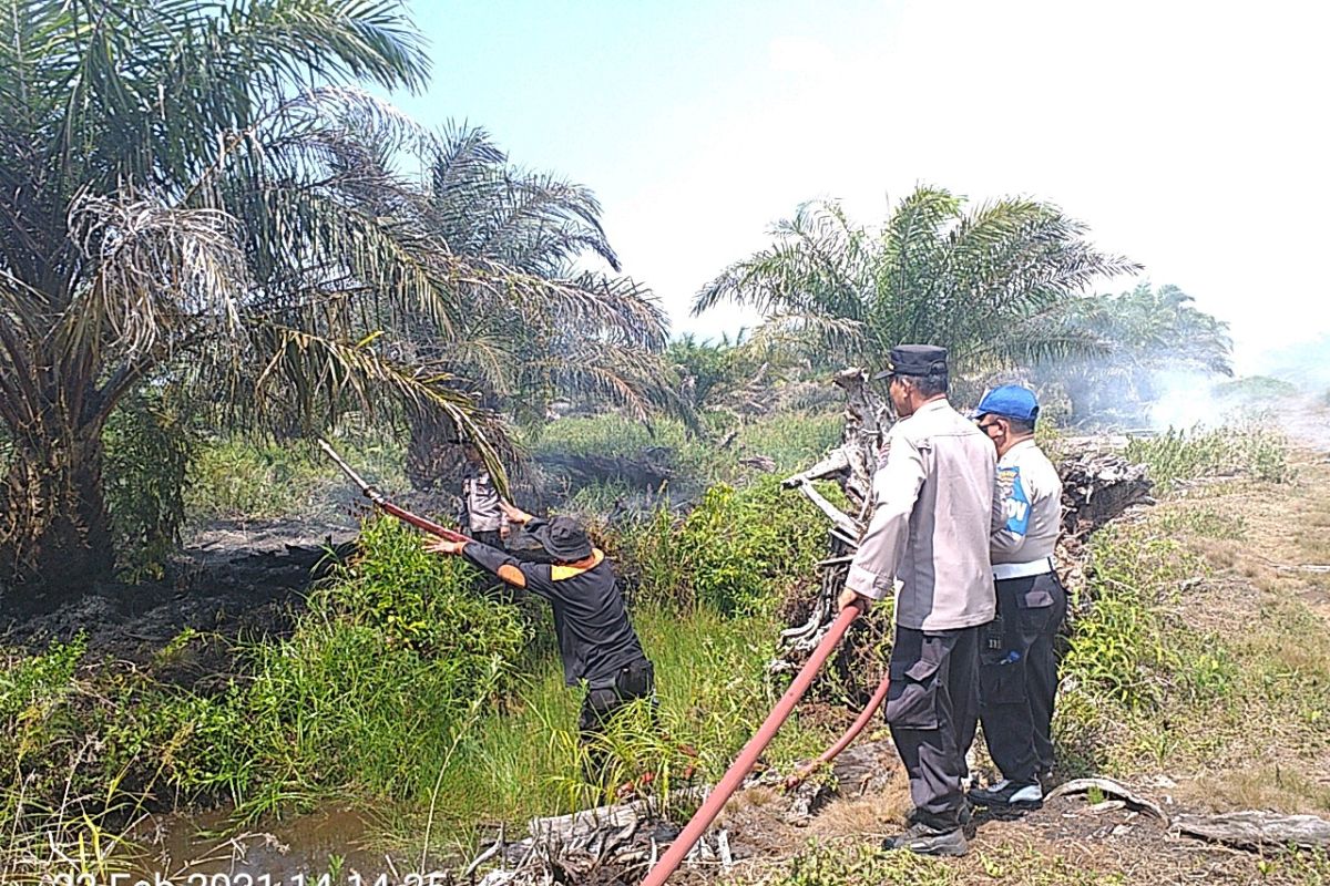 29,5 hektare lahan kebakaran di Agam kerugian capai ratusan juta