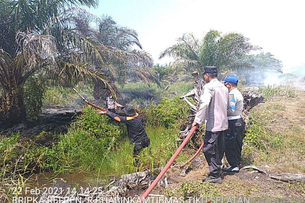 Lahan kelapa sawit 29,5 ha di Agam terbakar, kerugian ratusan juta