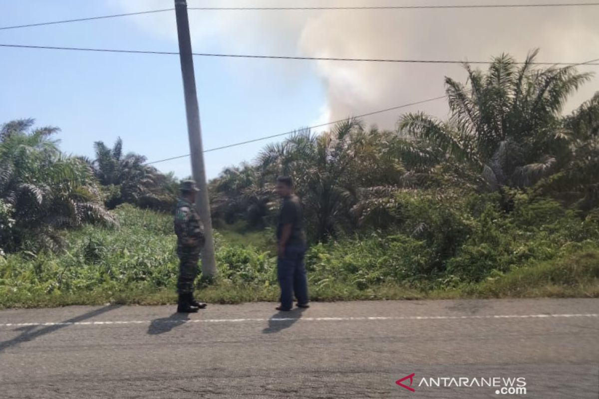 Lahan gambut di Aceh Jaya terbakar, luasnya belum diketahui