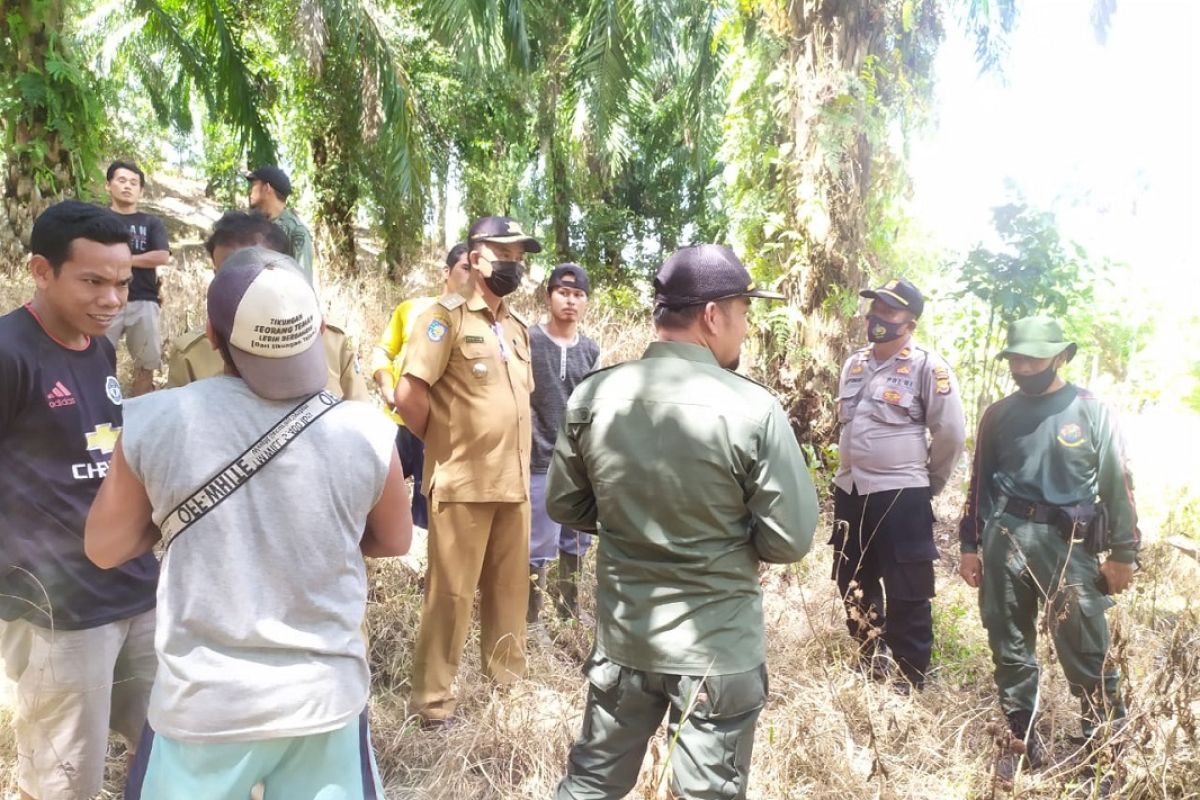 BKSDA Mukomuko cari bukti kemunculan dua harimau sumatera