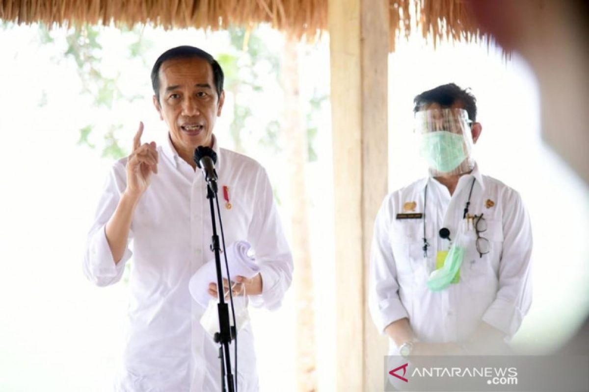 Presiden: Lumbung pangan di Sumba Tengah akan capai 10 ribu hektare