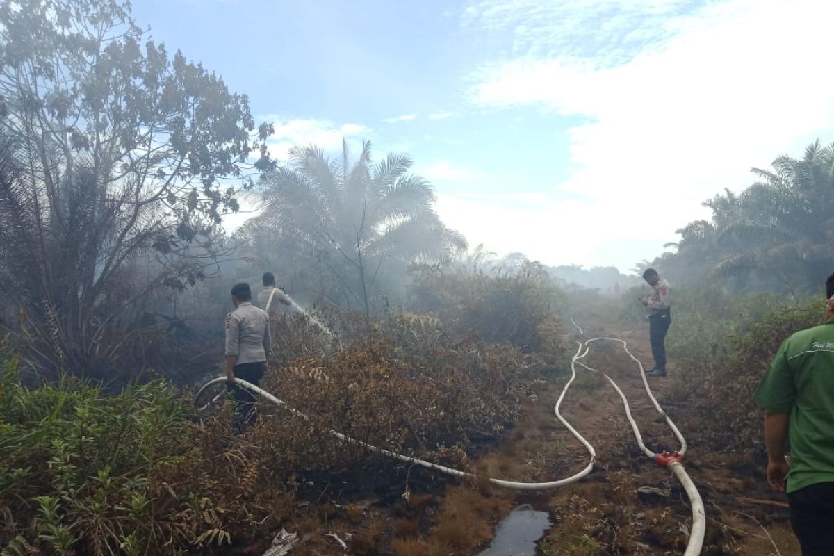 BPBD: Kebakaran hutan empat daerah di Sumbar akibat cuaca panas