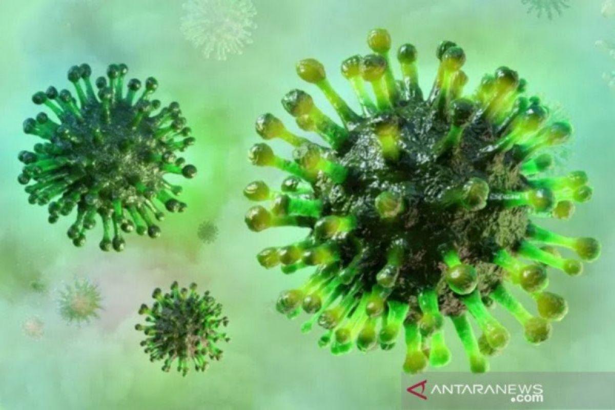 Dua varian virus corona kemungkinan bergabung membentuk varian baru