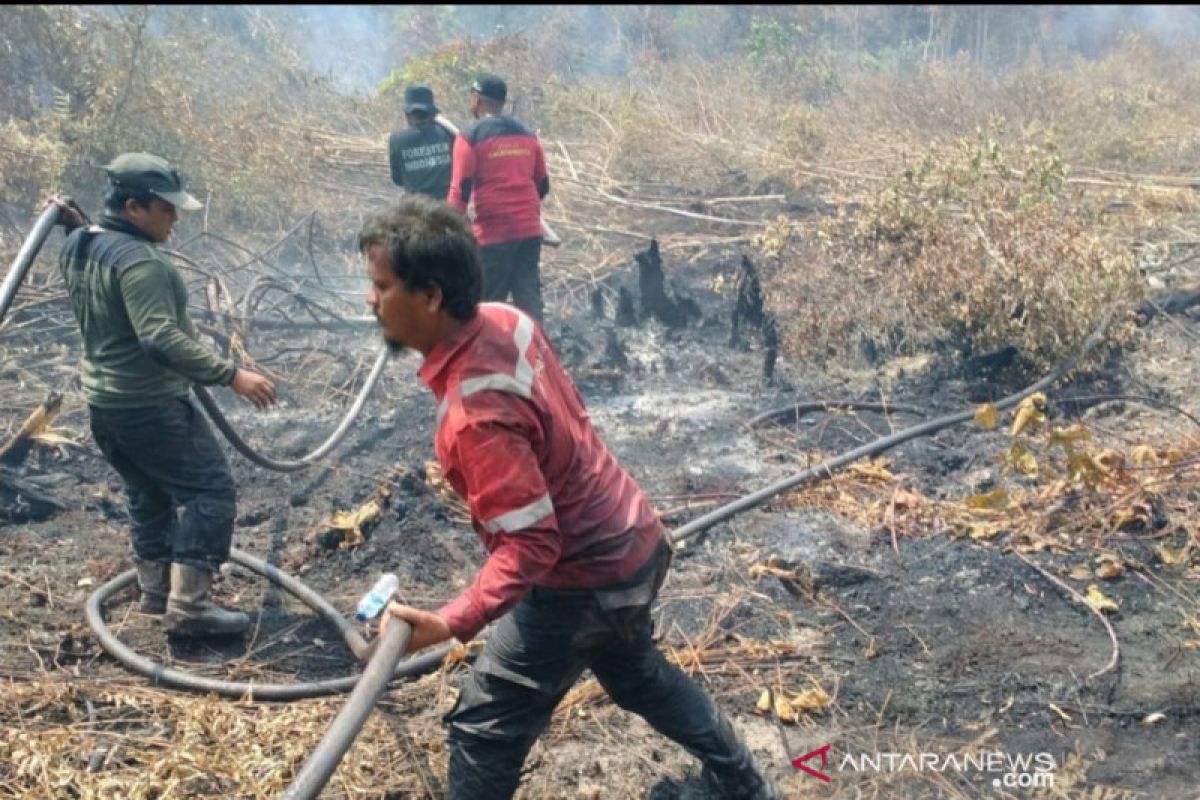 Titik panas melejit di Pelalawan, tim masih berjibaku padamkan api