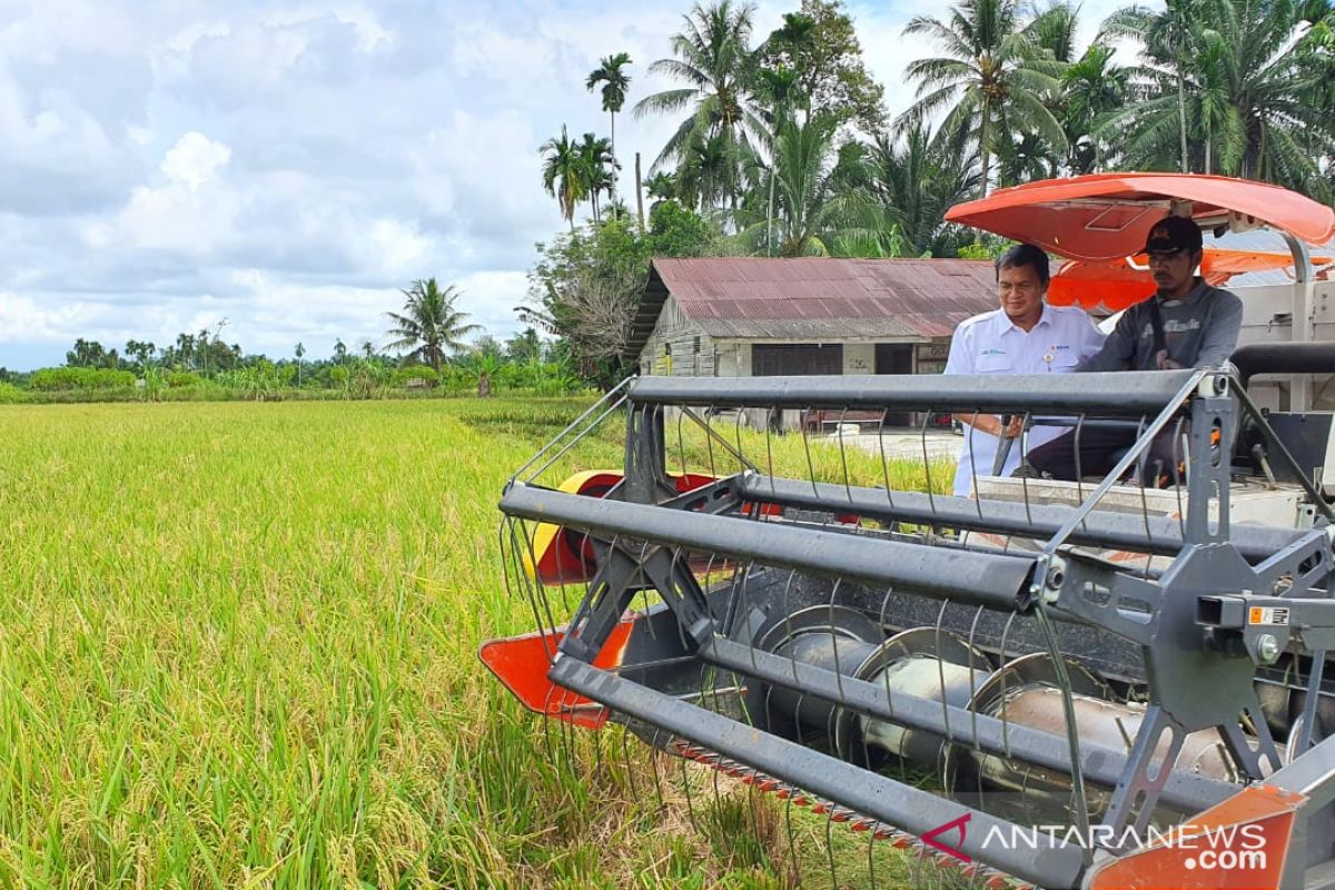 Perkuat stok, Bulog serap beras medium dari Aceh 500 ton