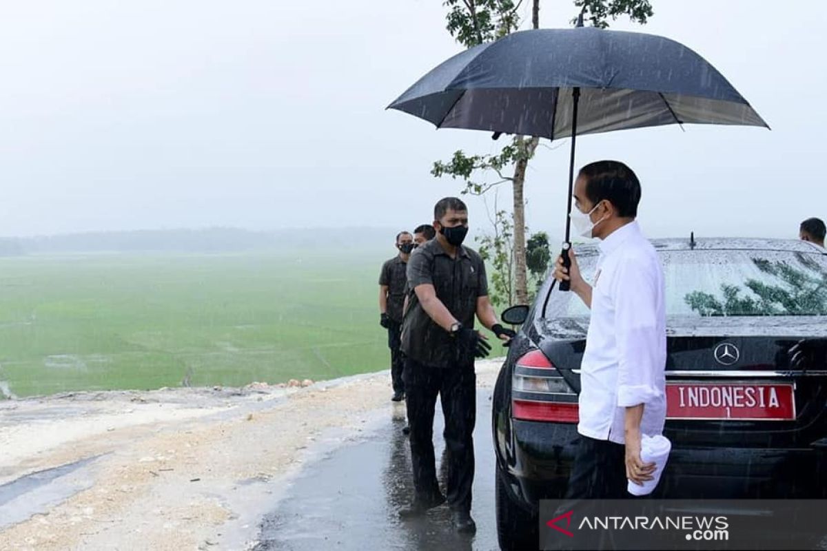 Jokowi dan hujan berkah untuk ekonomi SumbaTengah