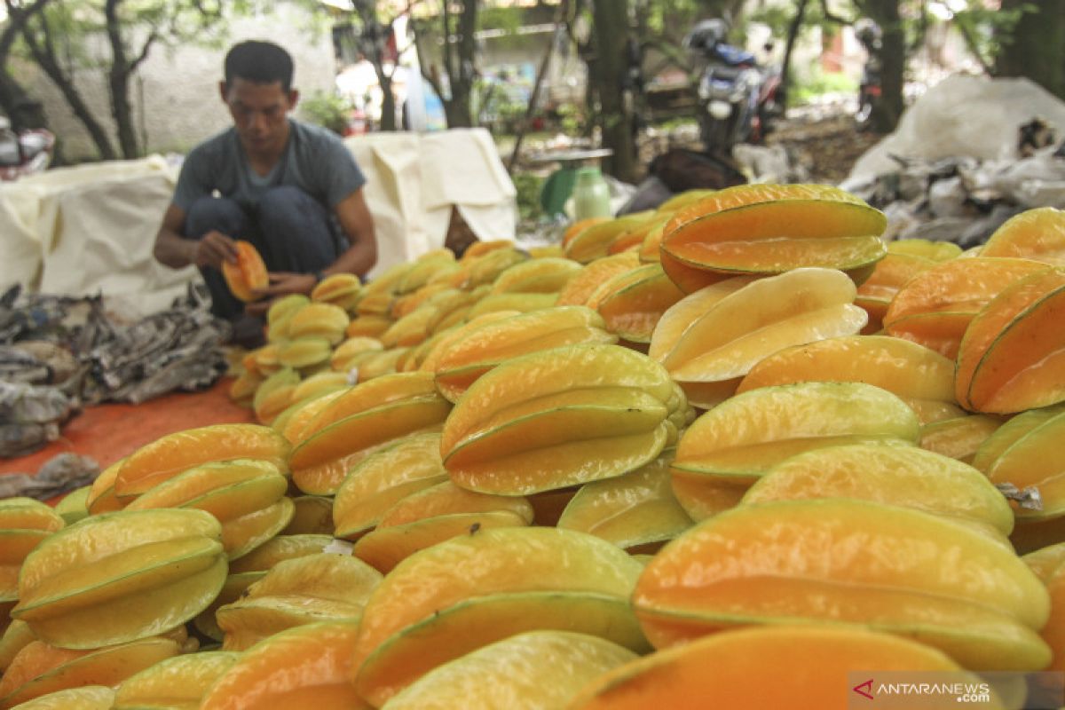 National Food Agency urges Indonesians to choose local fruits