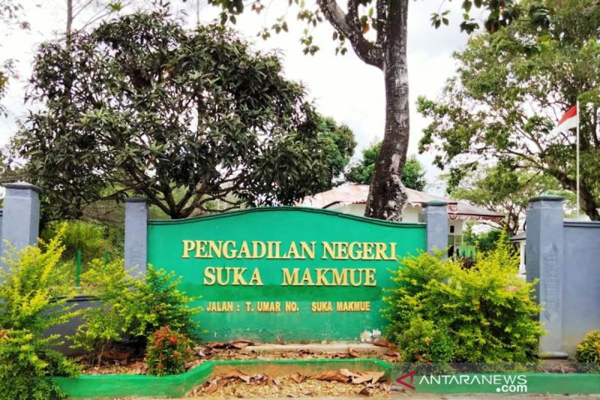 Pelaku pencemaran nama baik Bupati Nagan Raya dihukum setahun penjara