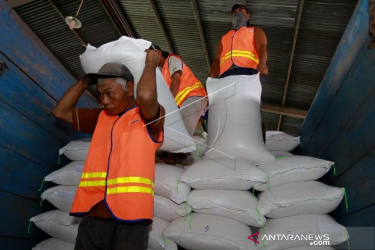 Stok beras di Bulog Maluku dan Malut aman