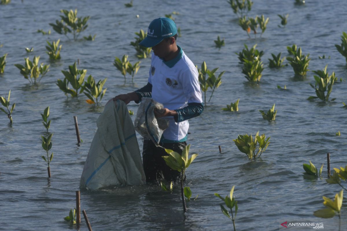 KKP siapkan pusat daur ulang sampah di wilayah pulau-pulau kecil