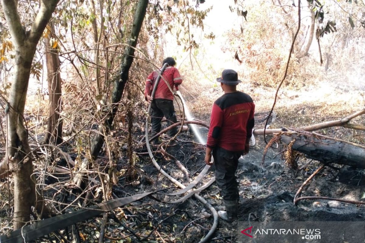 Karhutla di ujung Kabupaten Siak, Tim Fire Fighter RAPP bantu padamkan