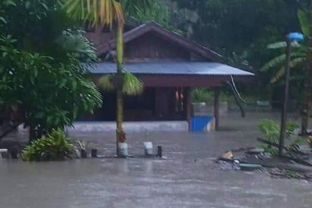 Hujan deras, rumah warga kampung dan SDN Kaptiau Sarmi-Papua banjir