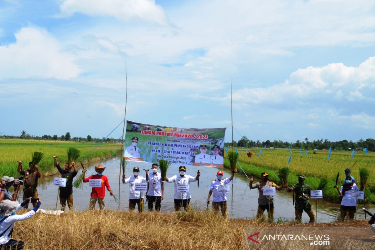 Penjabat Gubernur Kalsel senang hasil produksi padi di Kalsel