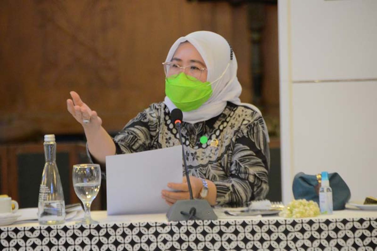 Siti Mukaromah nilai induk usaha ultramikro dorong pengembangan UMKM