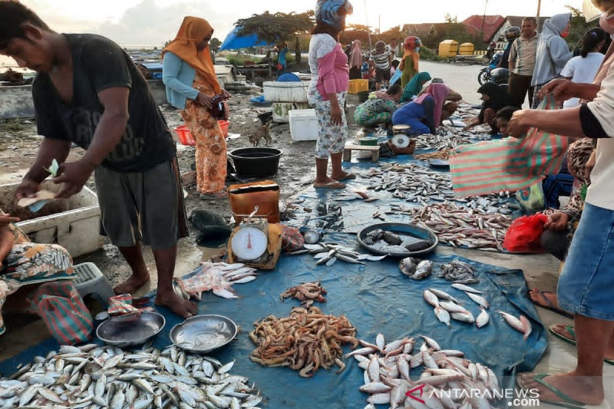 Harga ikan di Kendari naik akibat dampak cuaca ekstrem