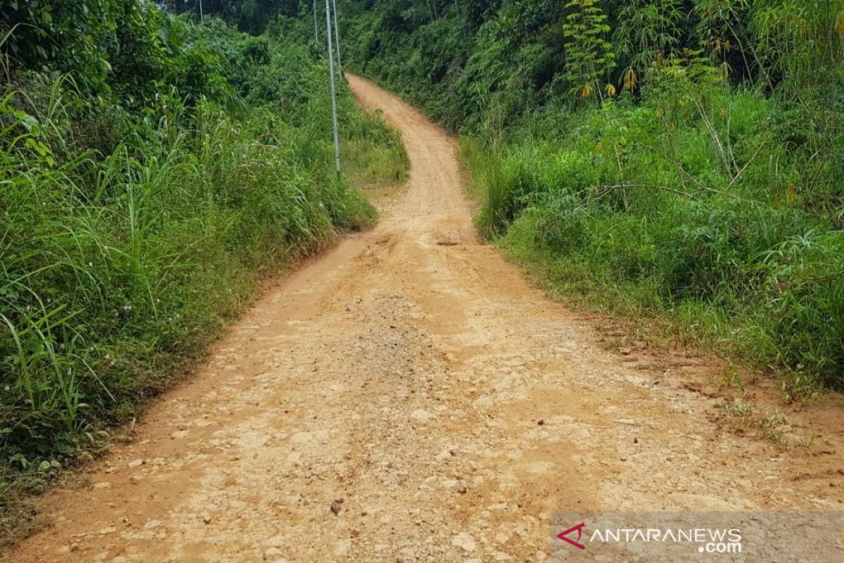 Pemerintah daerah diminta perhatikan peningkatan jalan menuju kawasan Banua Tonga MBG