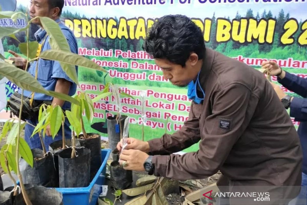 Jejak Bumi Indonesia tanam puluhan ribu bibit pohon  bambu di Sumsel