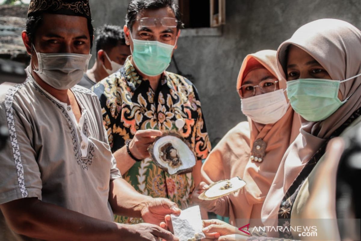 Dekranasda NTB mendorong mutiara Lombok terdaftar di Indikasi Geografis