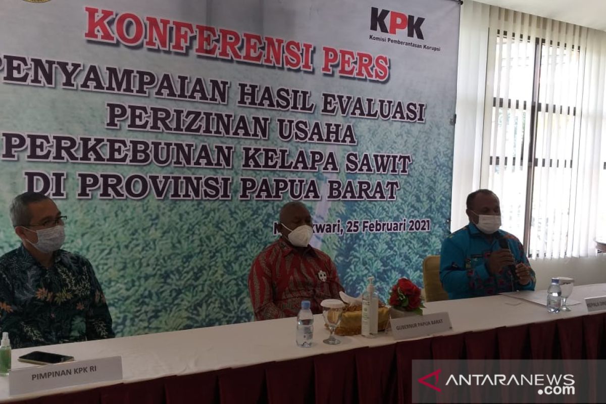Pemprov Papua Barat-KPK evaluasi izin perkebunan kelapa sawit