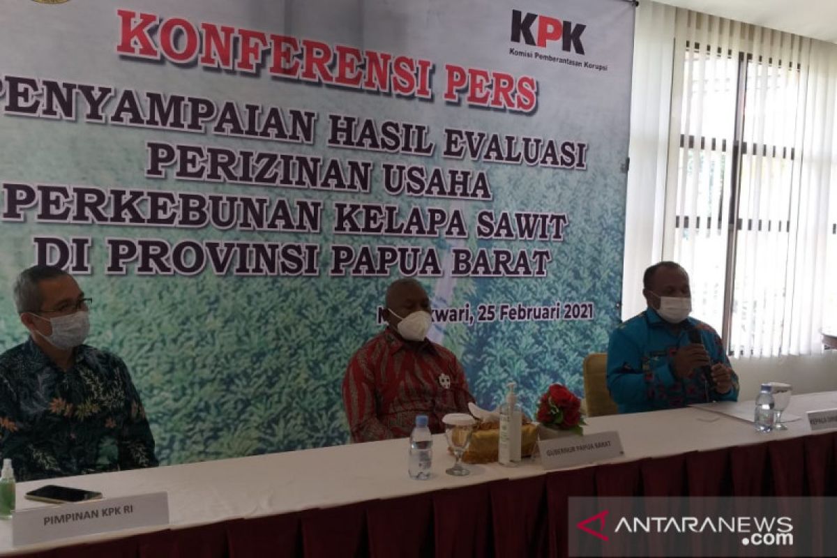 Papua Barat evaluasi izin perkebunan kelapa sawit