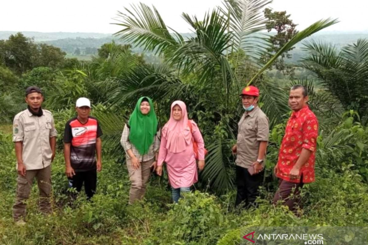 Rejang Lebong siapkan kebun percontohan buah lokal