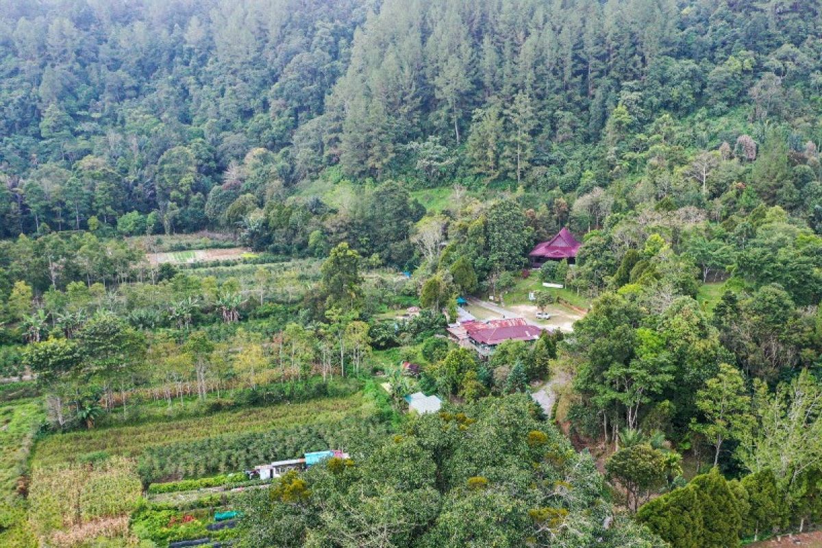 Taman Eden 100 di Lumban Julu Kabupaten Toba, Sumut tawarkan edukasi wisata alam
