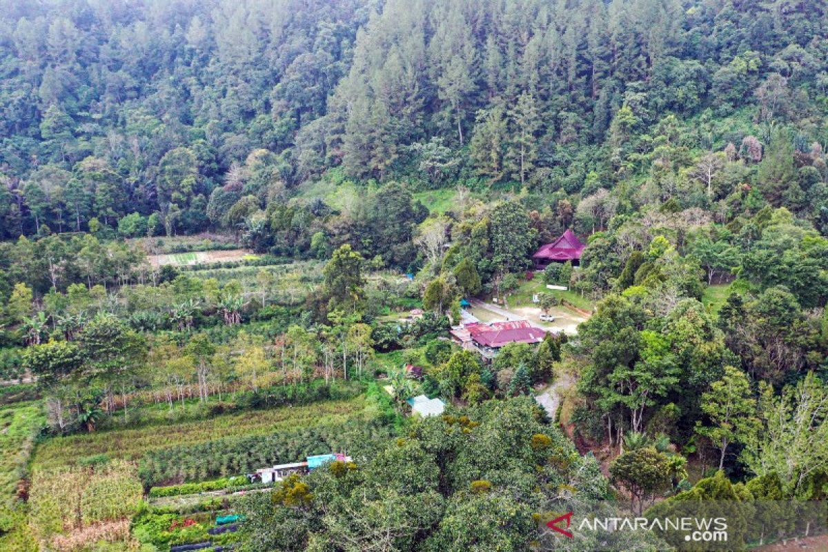 Taman Eden 100 di Lumban Julu Toba tawarkan edukasi wisata alam