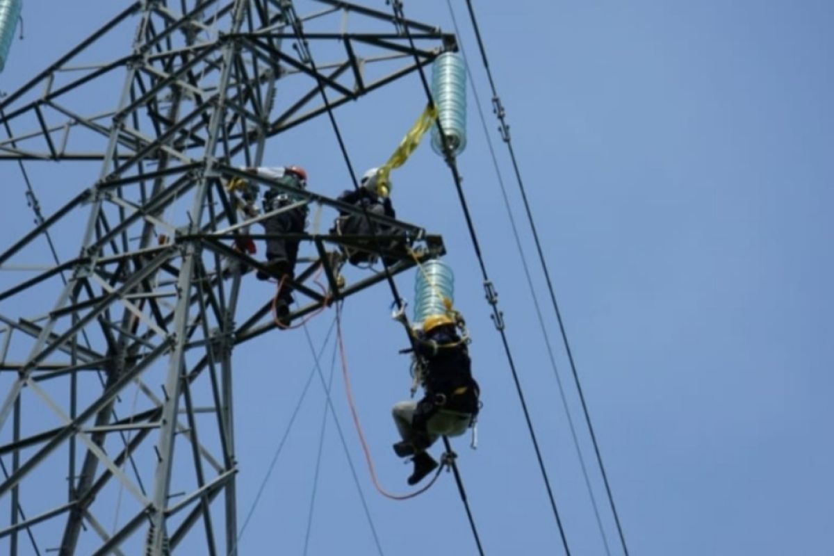 PLN lakukan pemeliharaan rutin transmisi sistem Timor