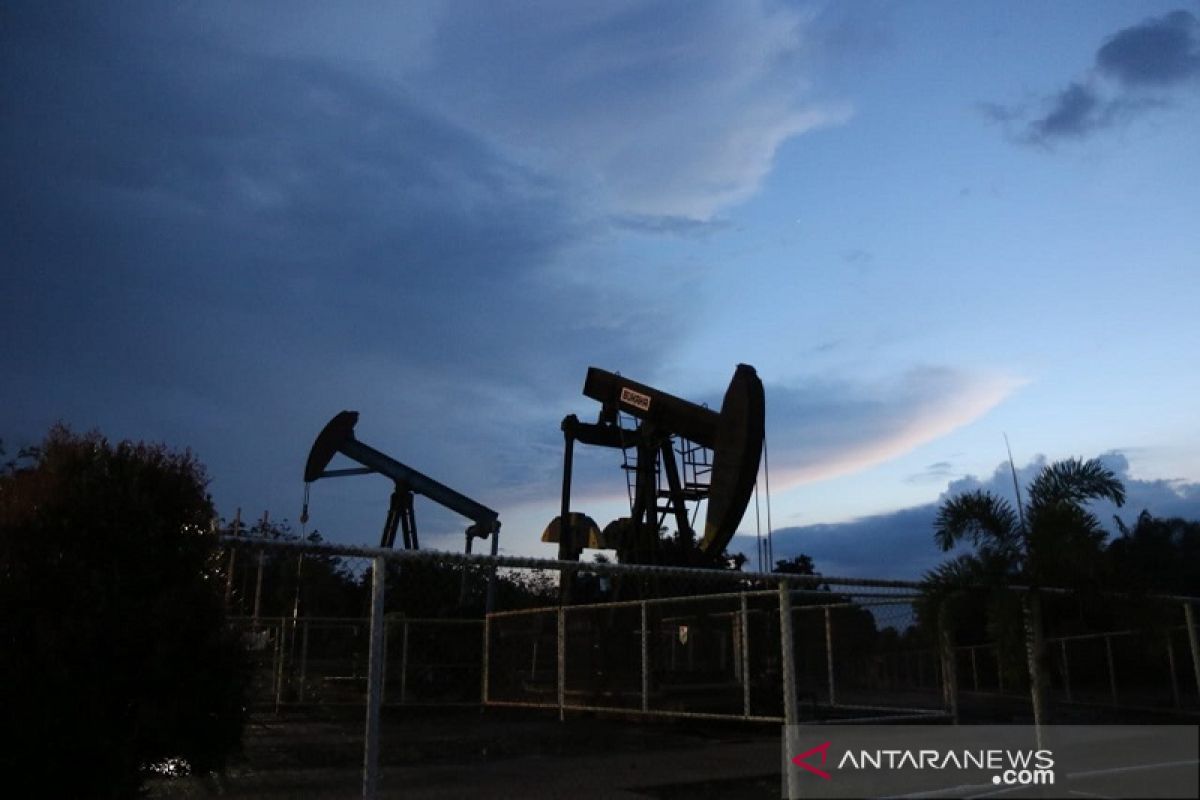 Menurunnya harga minyak dunia jadi tantangan Pertamina EP Jambi