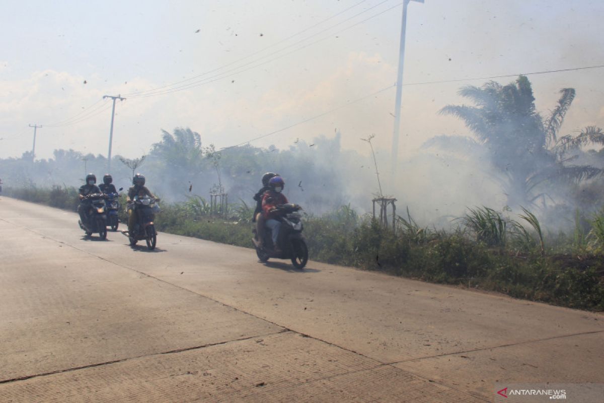 Ingat, pembakar hutan dan lahan akan ditindak tegas