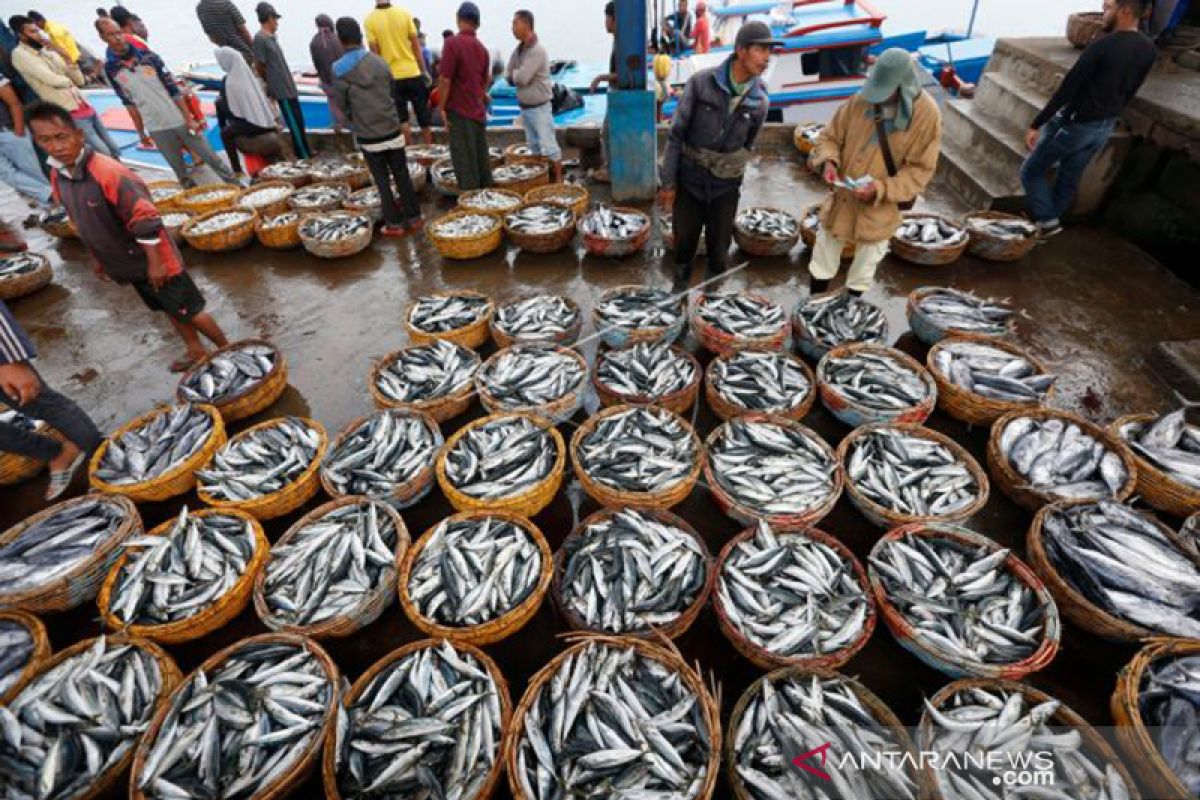 Tahun ini, Sabang targetkan 7 ribu ton produksi ikan