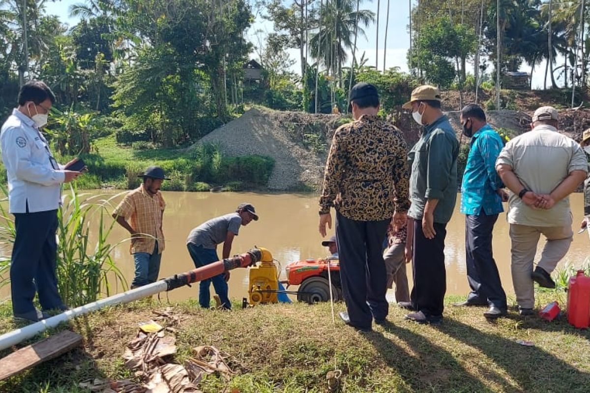 Ratusan hektare sawah di Aceh Besar alami kekeringan