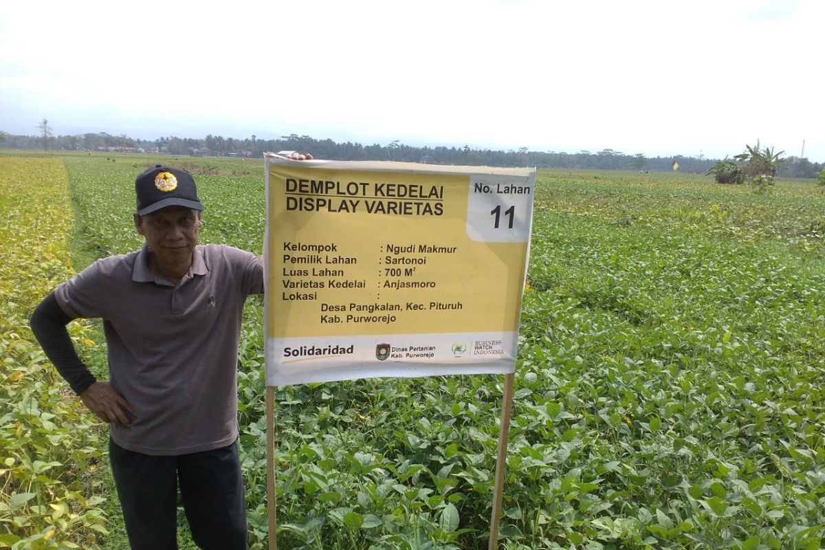 Akademisi sebut petani bisa mulai siapkan benih kedelai saat pancaroba