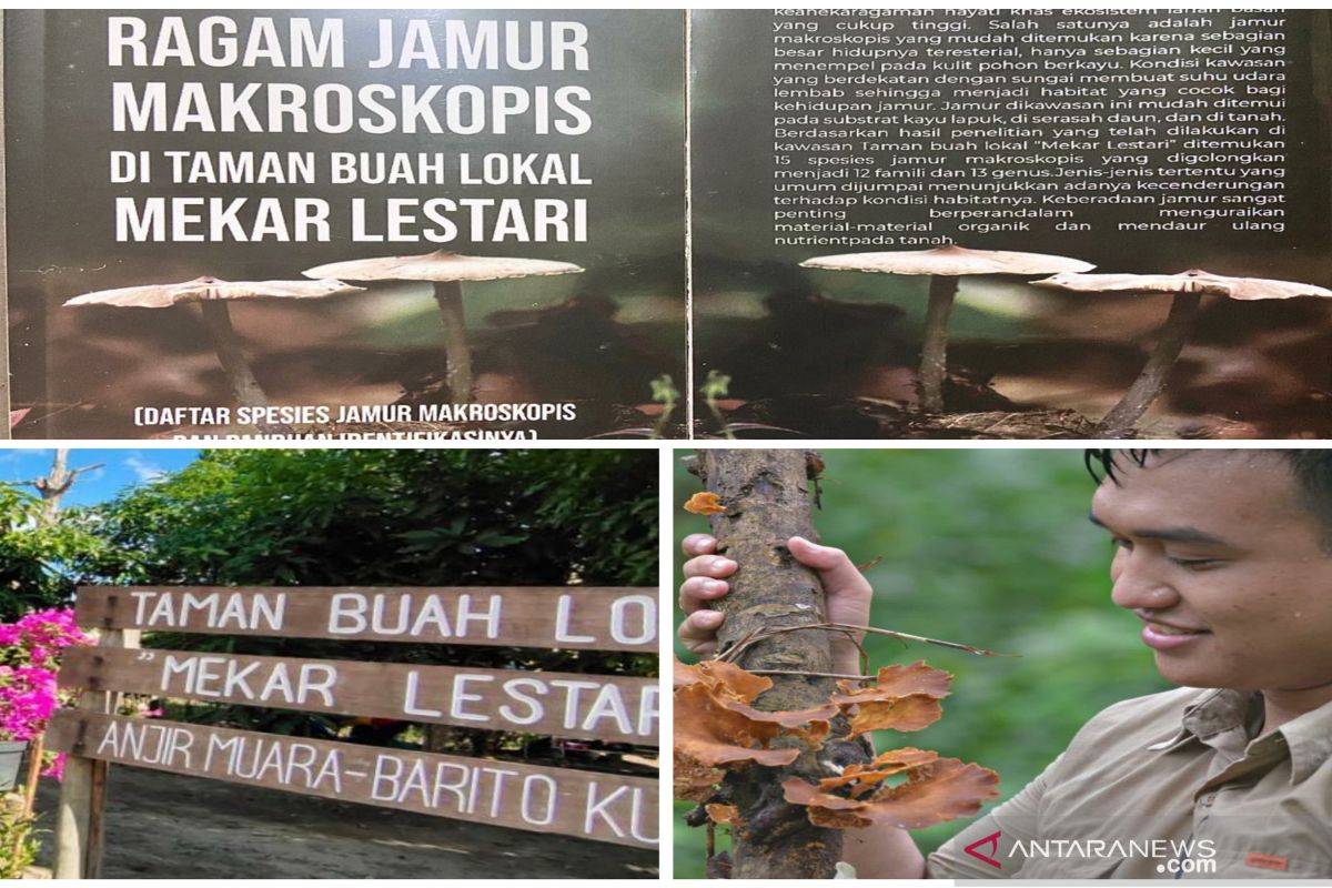 Biodiversitas Indonesia publishes macroscopic mushroom guidebook in Barito Kuala