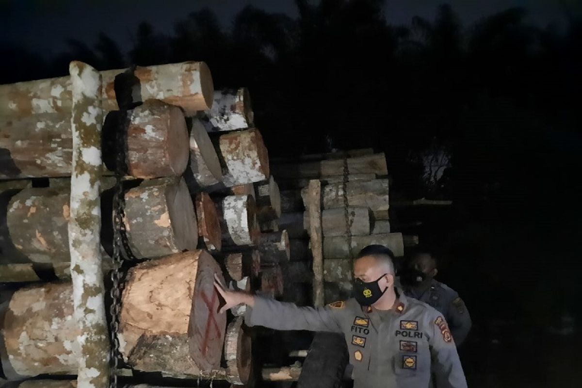 Polisi tangkap tiga pemodal pembalakan liar di Taman Nasional Berbak