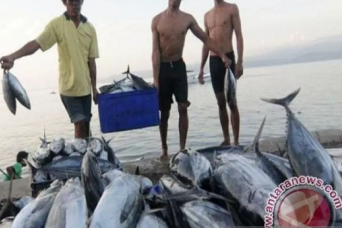 DKP persiapkan belasan UKMK pengolahan ikan masuk pasar lokal